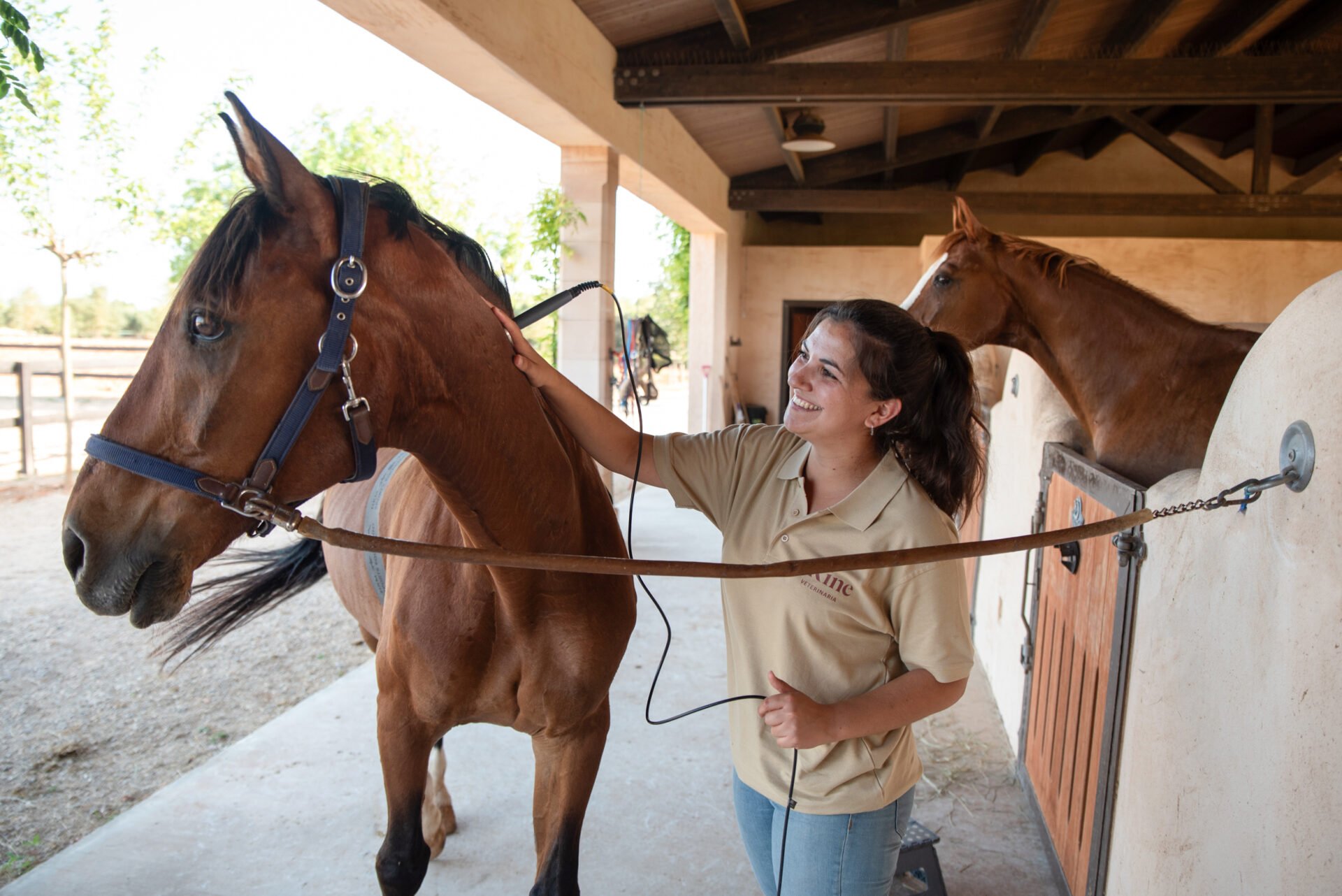 terapia y tratamientos para caballos - fisioterapia equina